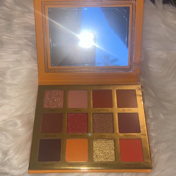 NIB ACE BEAUTE Falling For You Palette  Retails: $35 - Picture 5 of 5